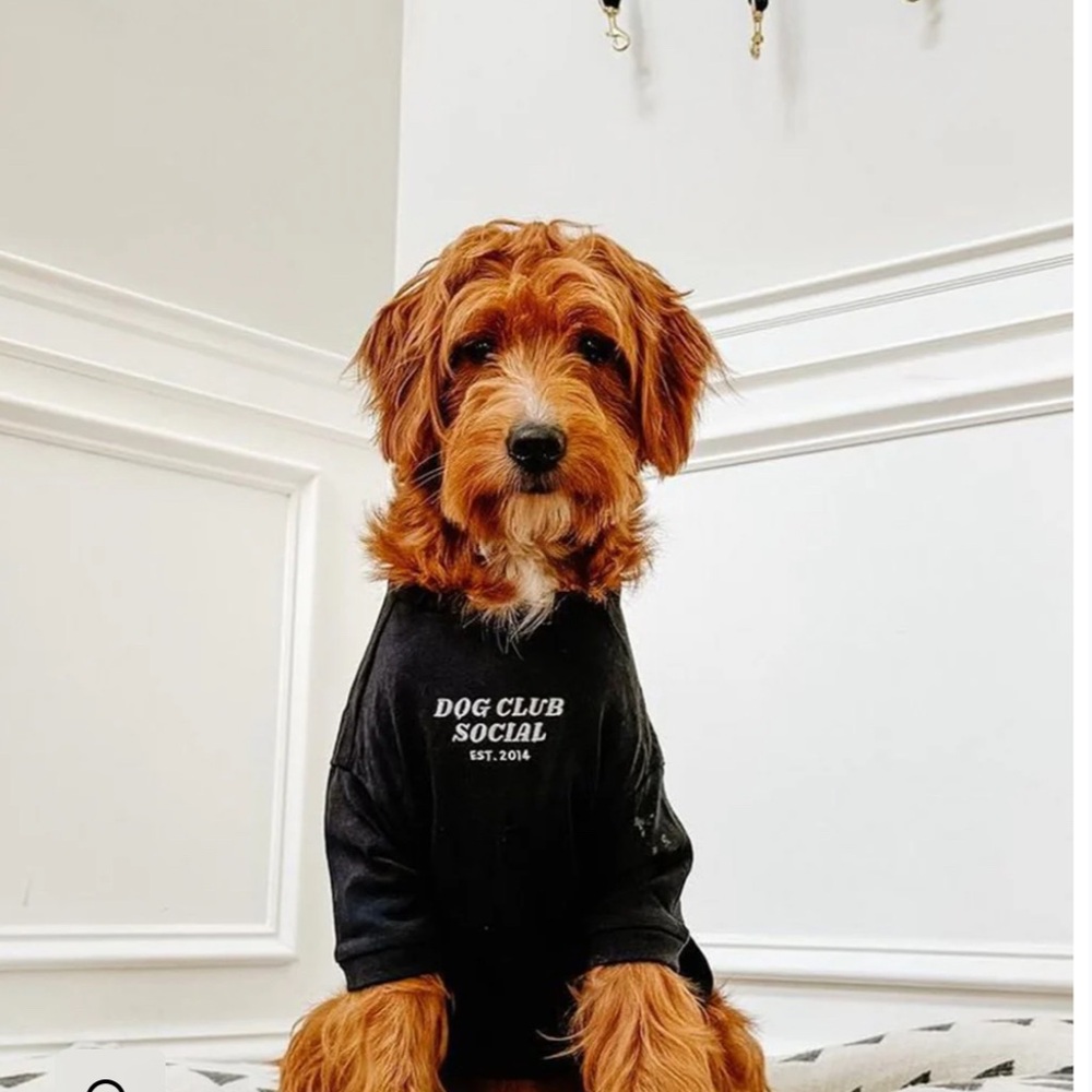 New Dog Tshirt in Black, XS